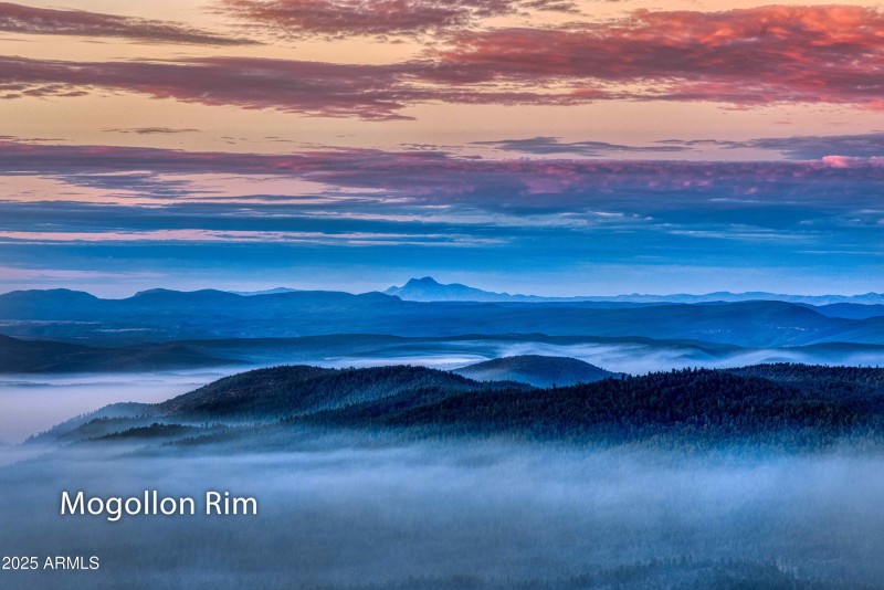 032_photo32_286_w_columbine_road_cc_jami