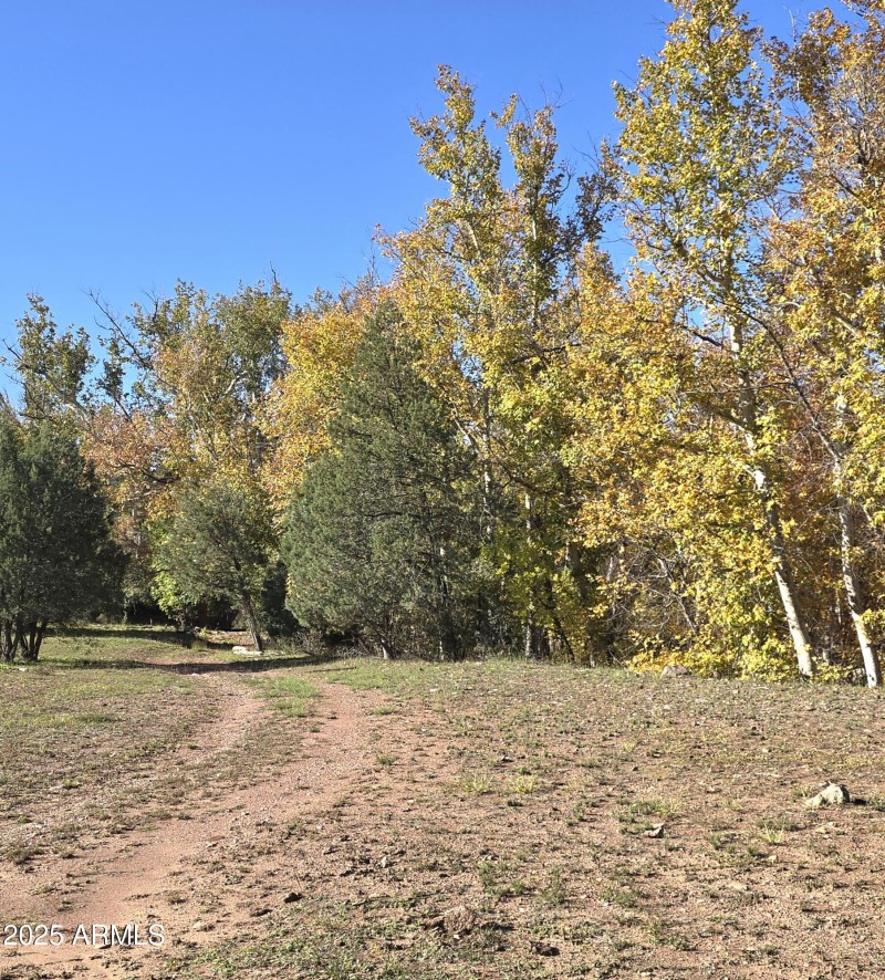 Aut Road to Creek Xing