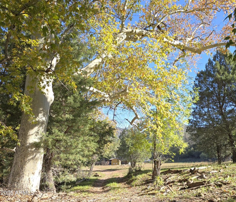 Aut Solar Power Shed fr Sycamore Grove