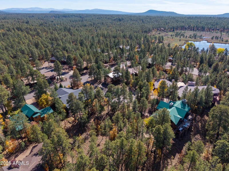 2189 CREEKSIDE CT 19, Pinetop, AZ 85935