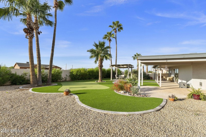 Putting green & artificial turf