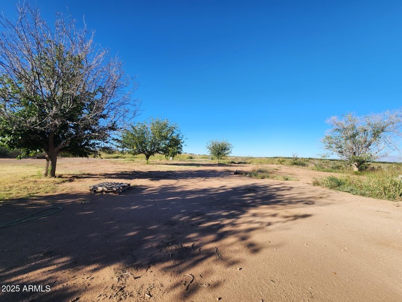 WhatsApp Image 2025-11-02 at 4.17.34 PM