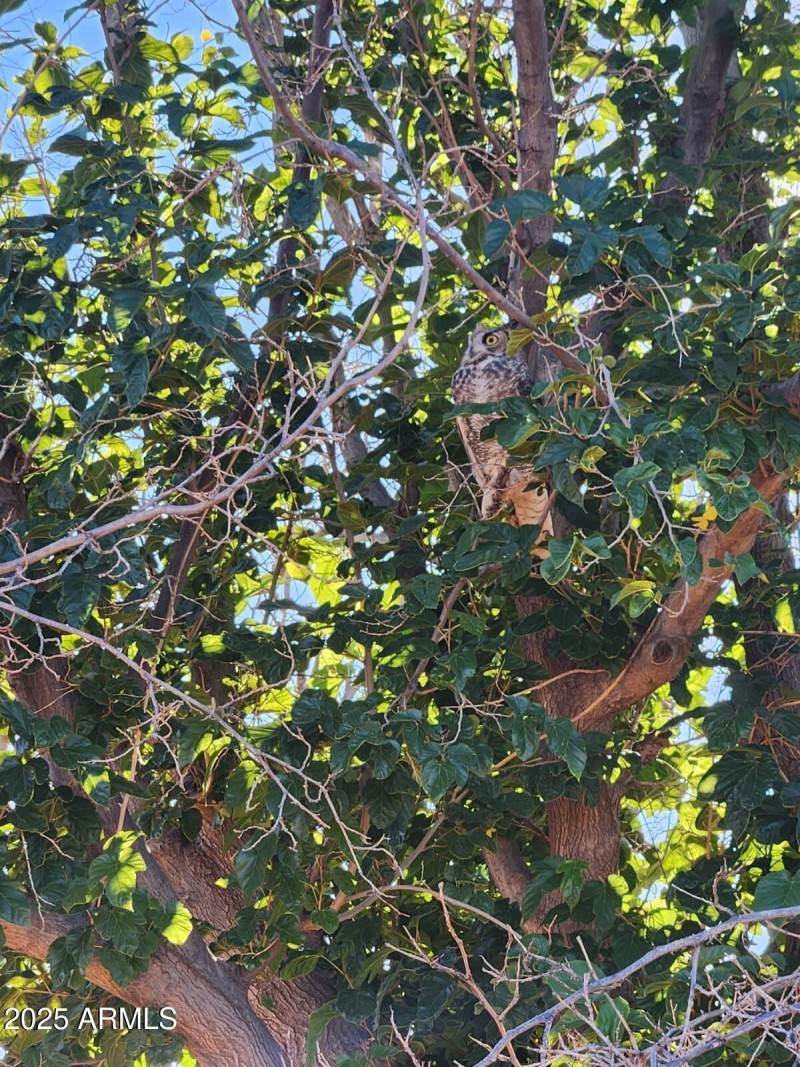 WhatsApp Image 2025-11-02 at 4.17.35 PM