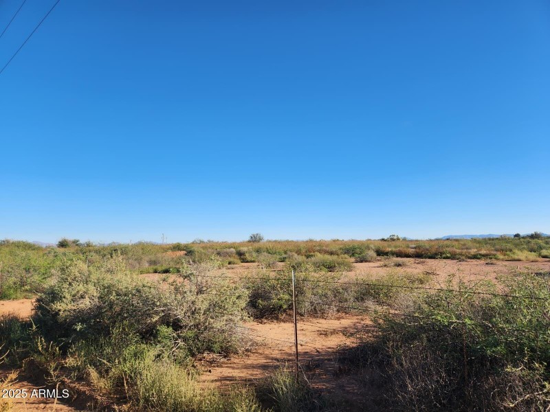 WhatsApp Image 2025-11-02 at 4.17.38 PM