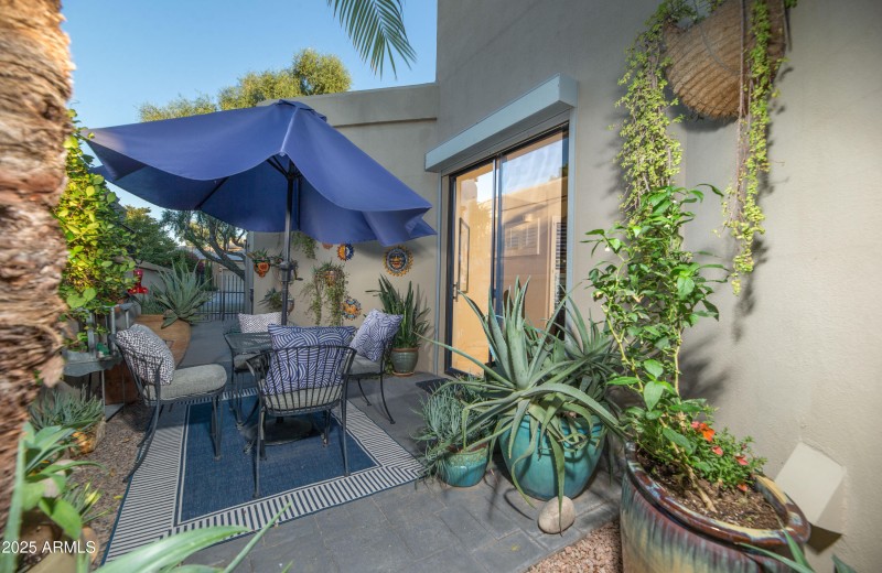 Courtyard off Kitchen