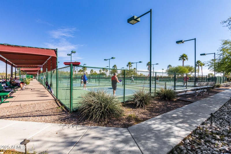 Plenty of Pickleball Courts