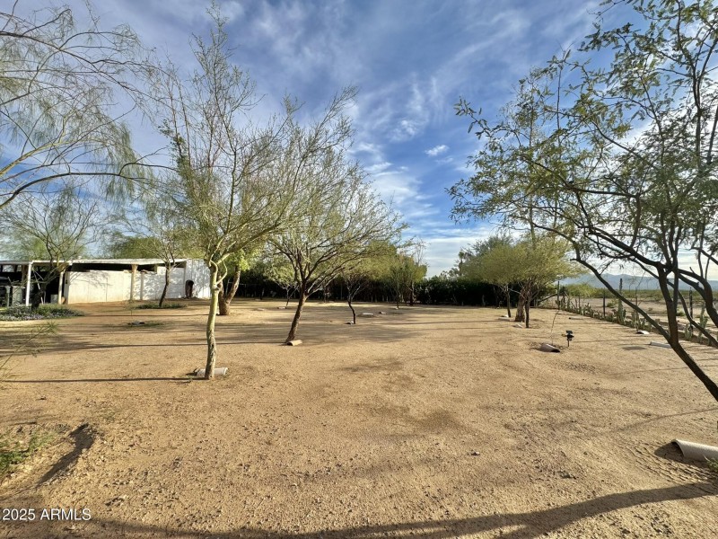 West side of carport