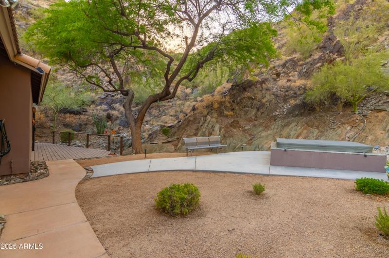 Trees & Privacy Galore