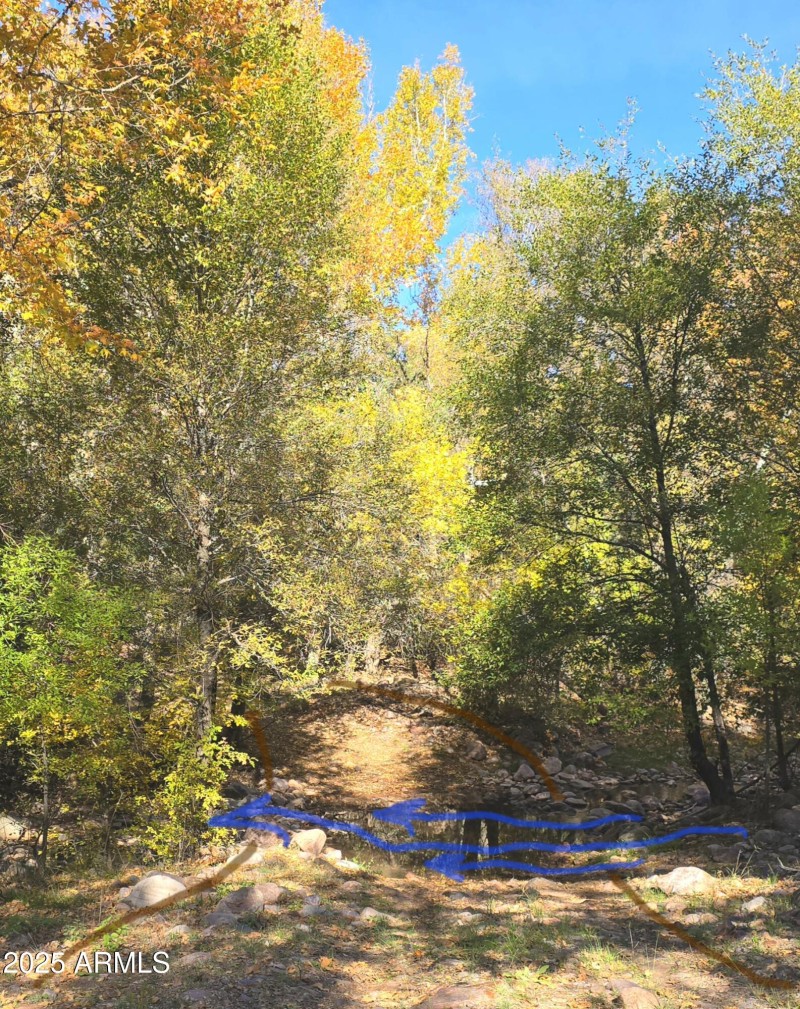 Aut Gordon Creek Crossing to W Pastures