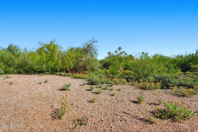 36-web-or-mls-036_ListerPros