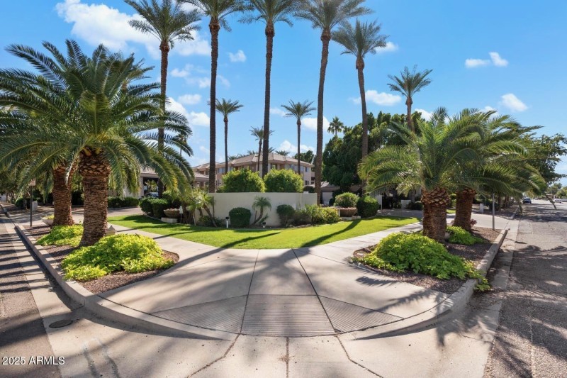 Biltmore Palms