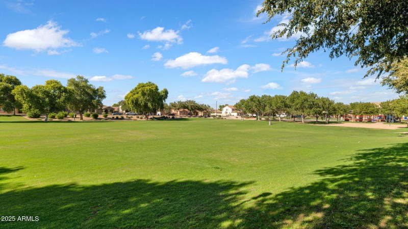 43-web-or-mls-P1276851