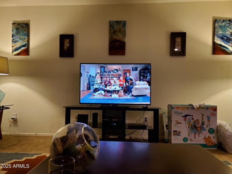 living room entertainent wall