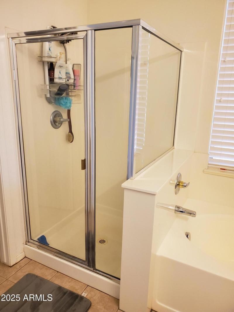 masterbath shower and tub seperate toile