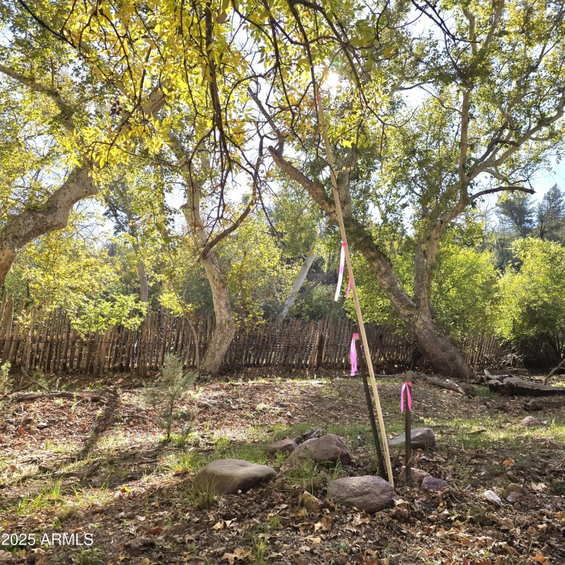 Aut Survey Corner 7 near Corrals