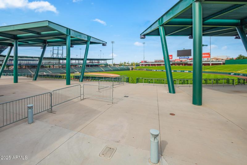 Cubs Spring Training