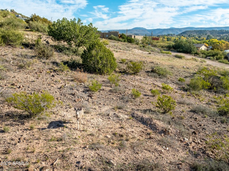 3455 Rusty Spurs Rd Rimrock AZ-29