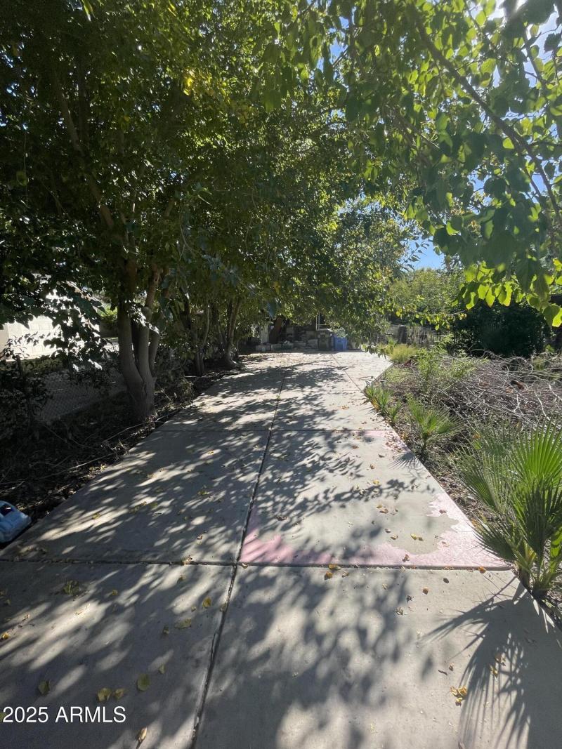 Photo Nov 04 2025, 1 55 06 PM