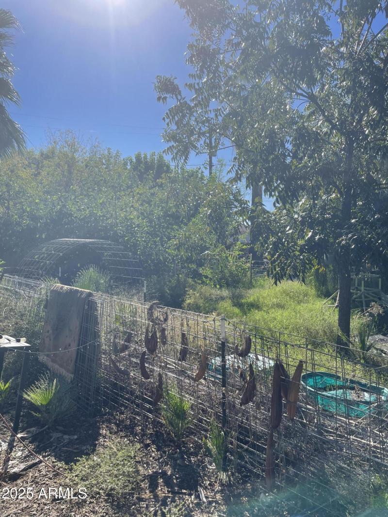 Photo Nov 04 2025, 1 56 01 PM