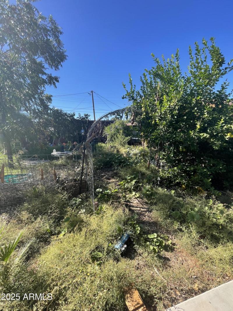 Photo Nov 04 2025, 1 56 06 PM