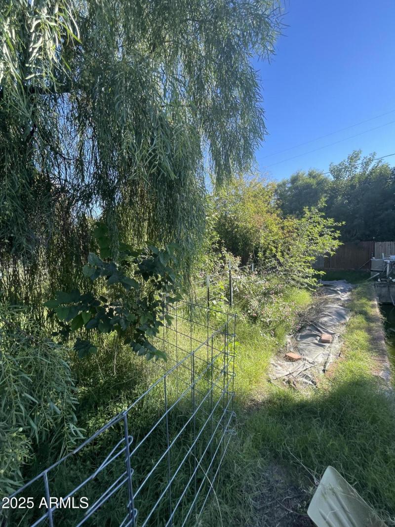 Photo Nov 04 2025, 2 01 11 PM