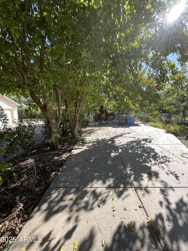 Photo Nov 04 2025, 2 04 47 PM