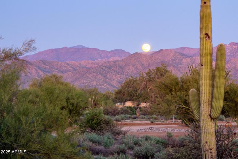 View from front yard