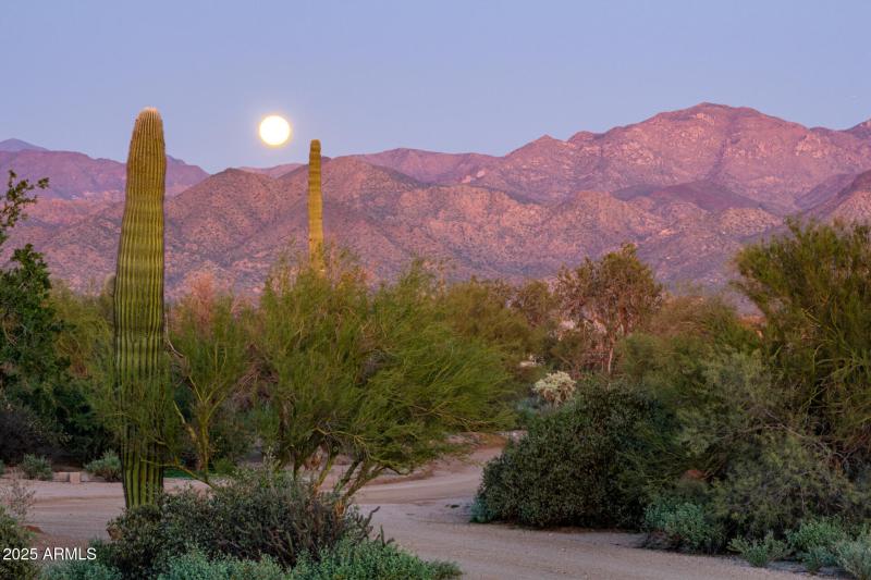 Amazing view from patio
