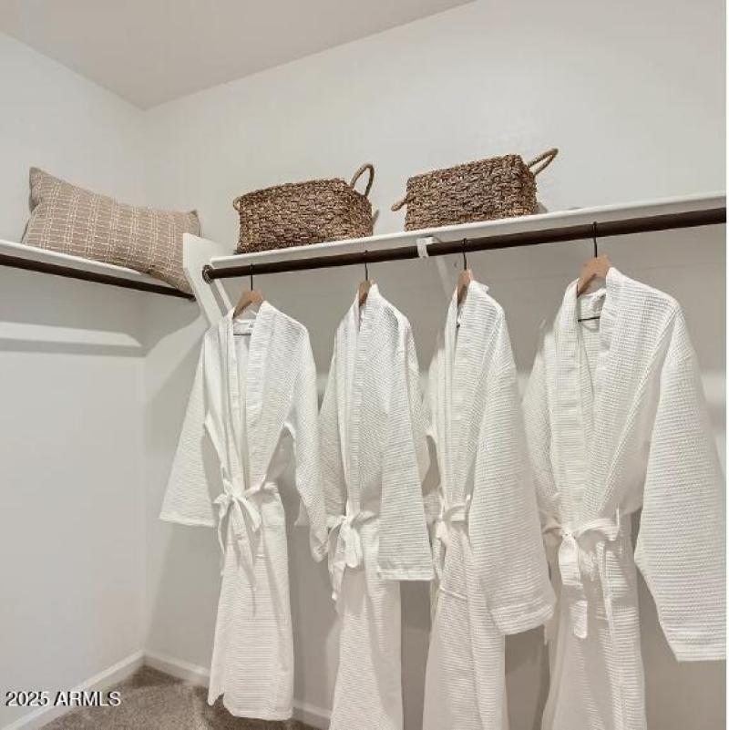 Owners Walk in Closet