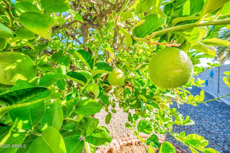 10517 W Cumberland Dr-34