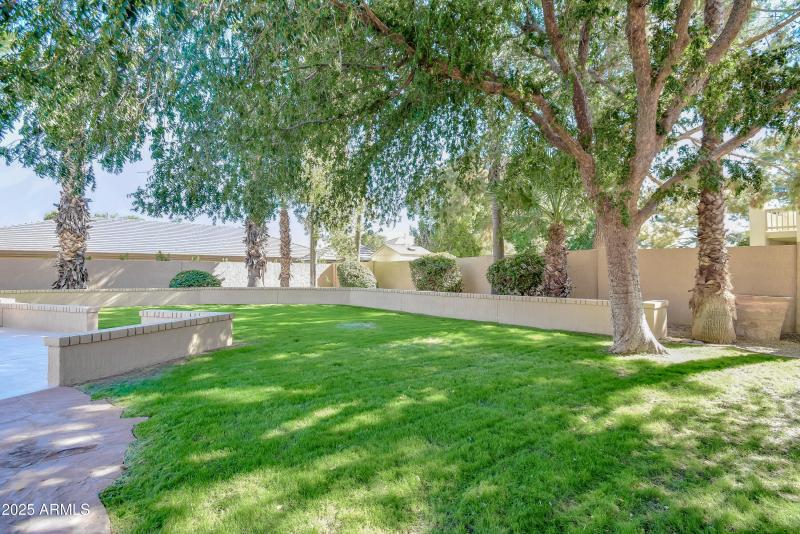 Green and Ready for Fun