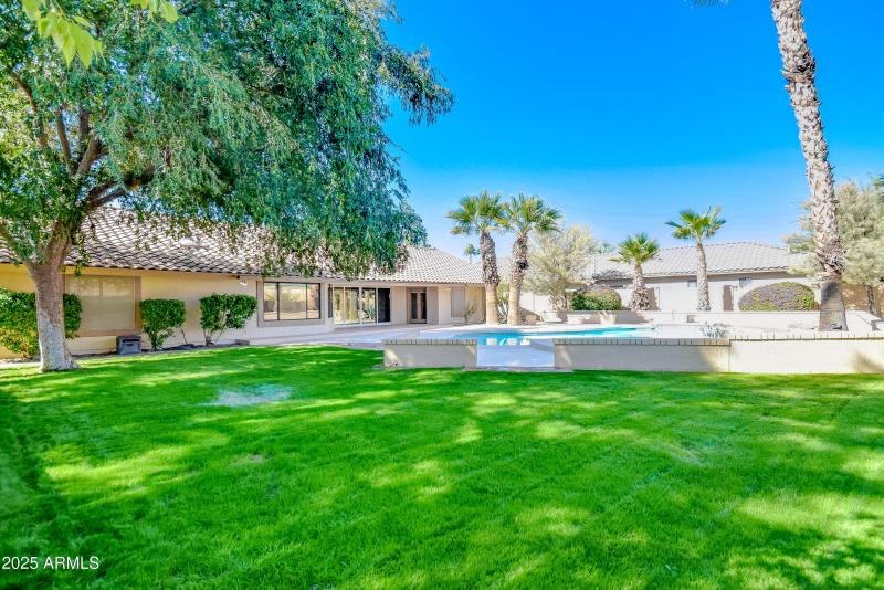 Green and Ready for your pets