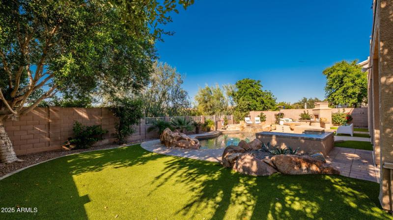 Back Yard - Room to Play!