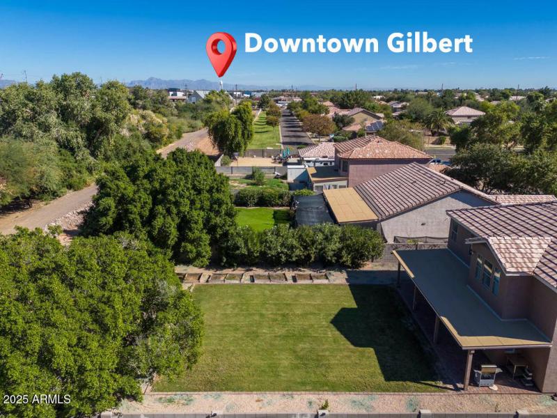 dt gilbert DRONE