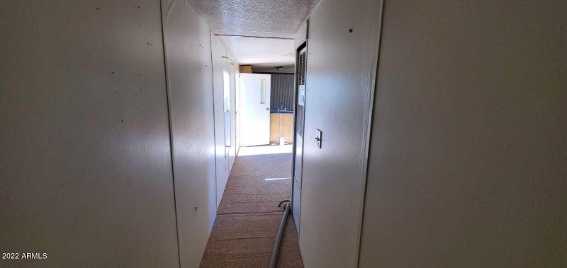 PHOTO-2022-11-17-16-58-00