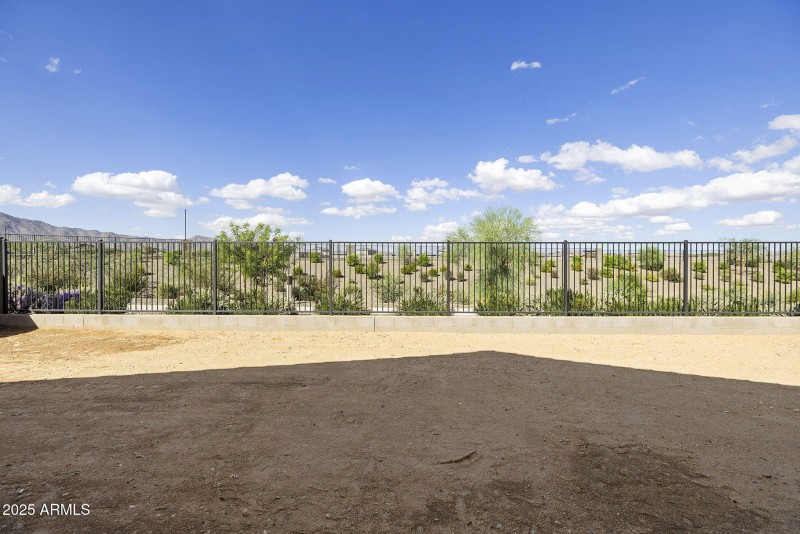 NO BACK YARD NEIGHBORS