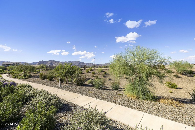 OPEN SPACE BEHIND HOME