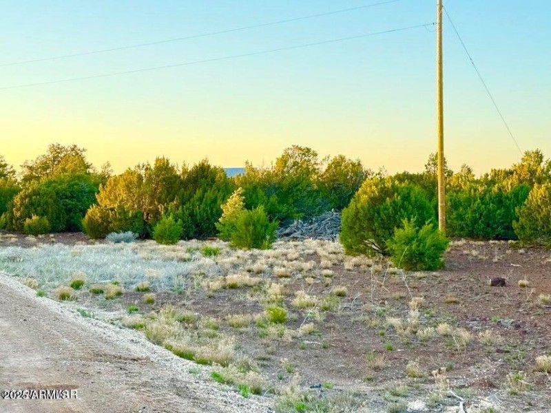 20251103233442070494000000-o