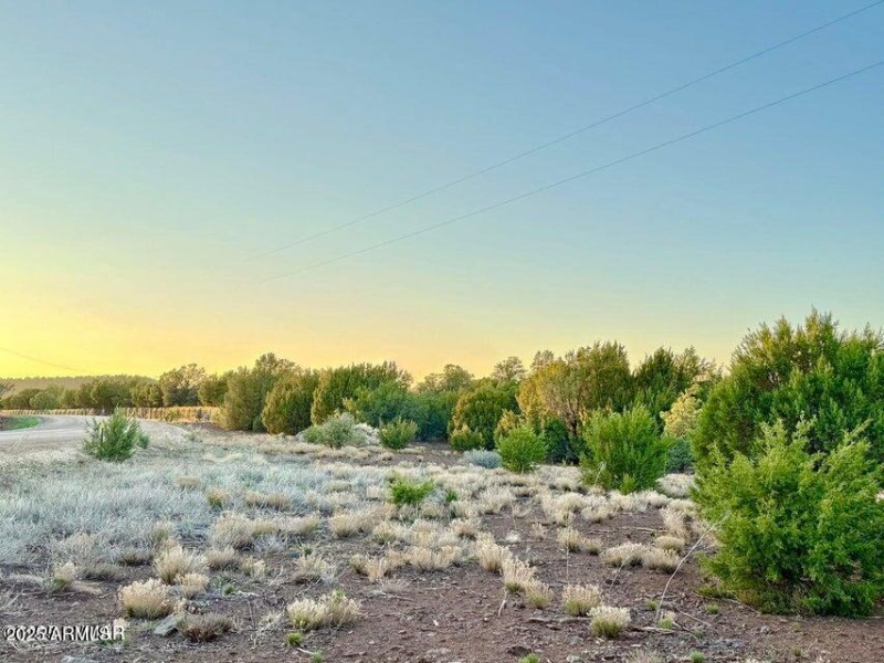 20251103235216712797000000-o