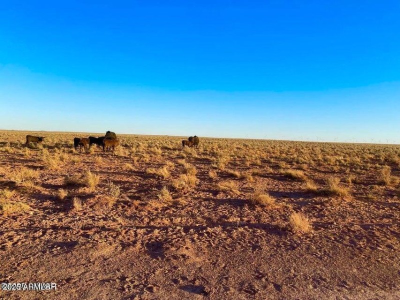 20251104022648215422000000-o