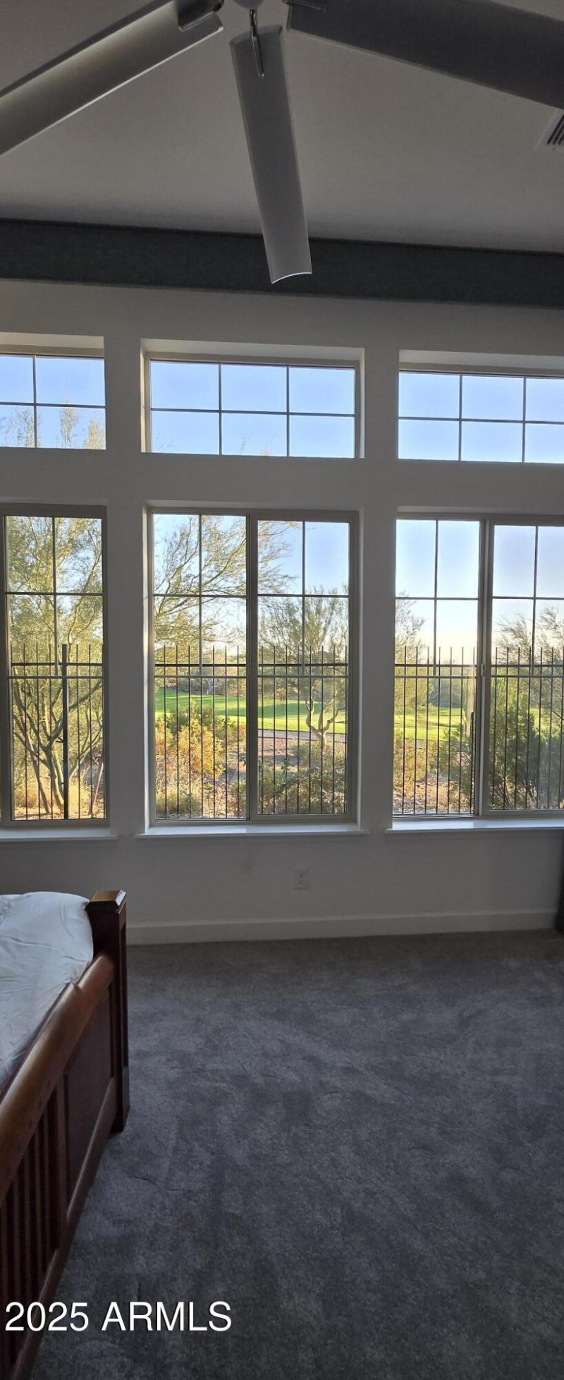 View From Owner's Suite