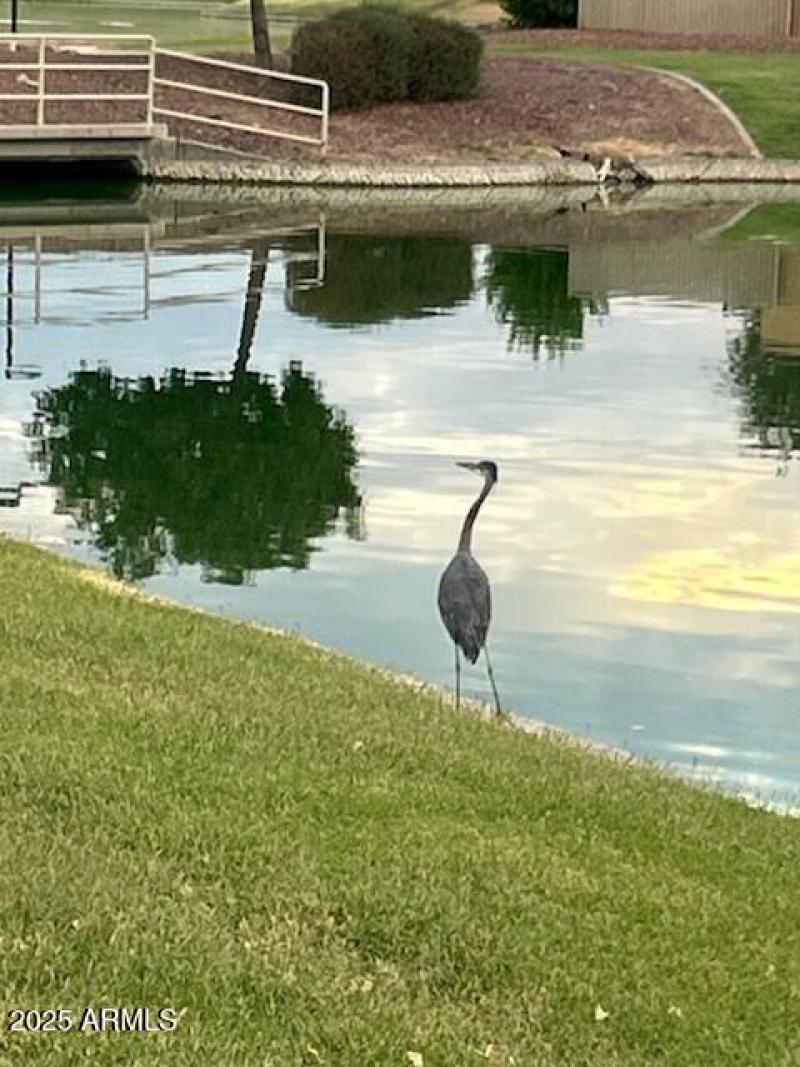 Resort-Style Community