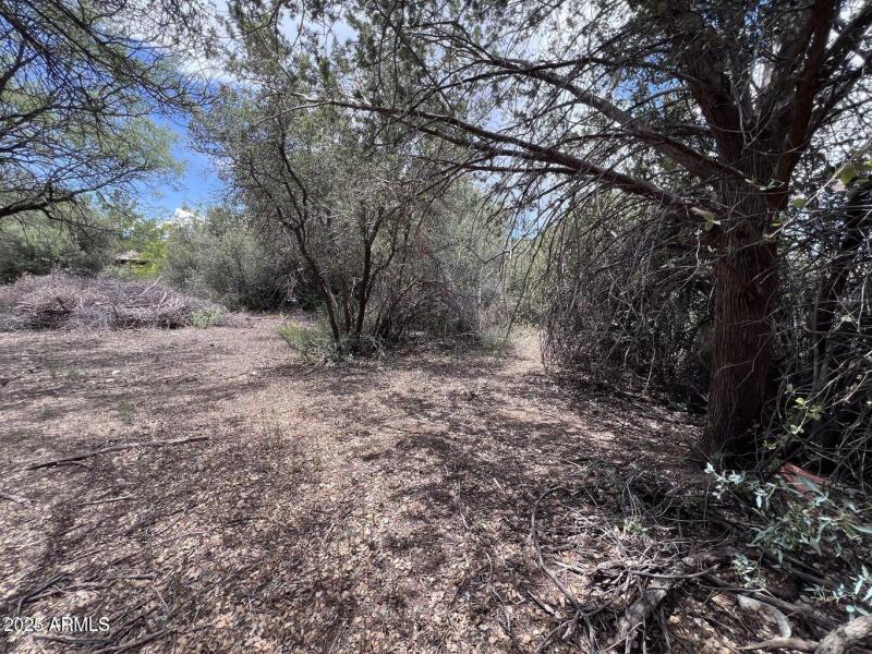 20240731013200941760000000-o