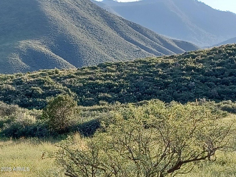 VIEWS OF THE BRADSHAW MOUNTAIN RANGE