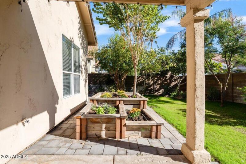 back yard garden
