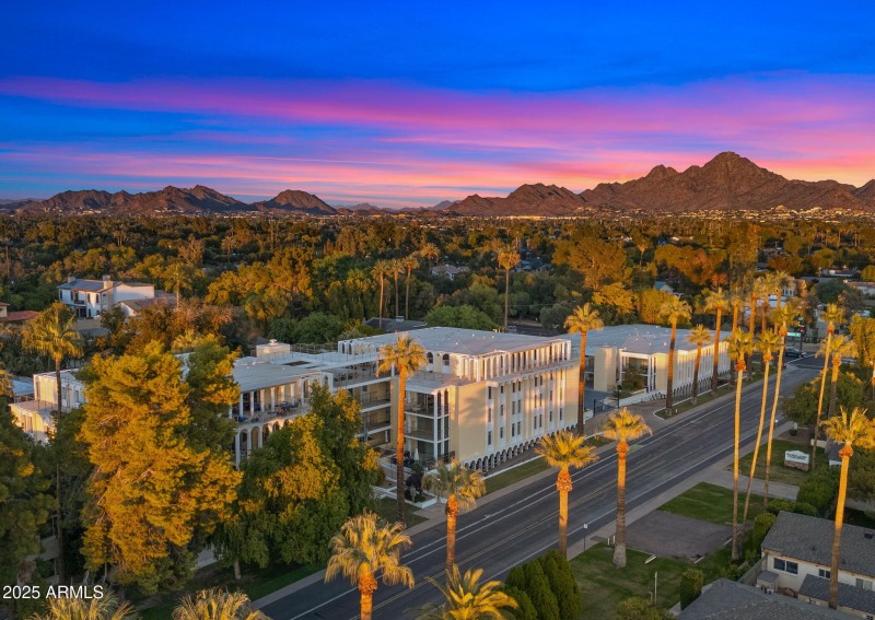 Tree-Lined Central Ave in Phoenix
