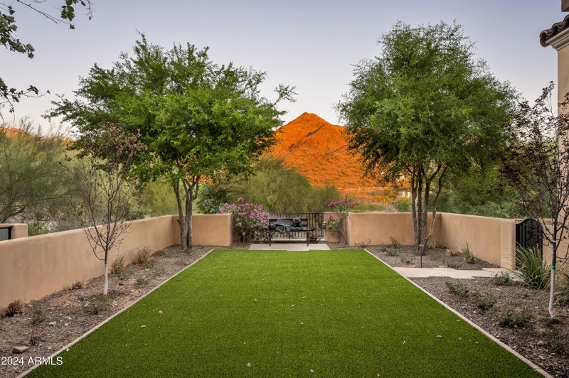 Views from casita courtyard