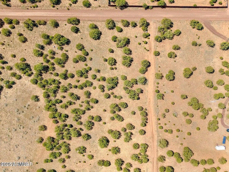 20251025080242881728000000-o