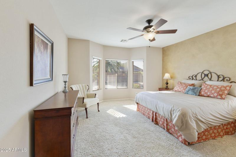 Large Primary Overlooks Backyard