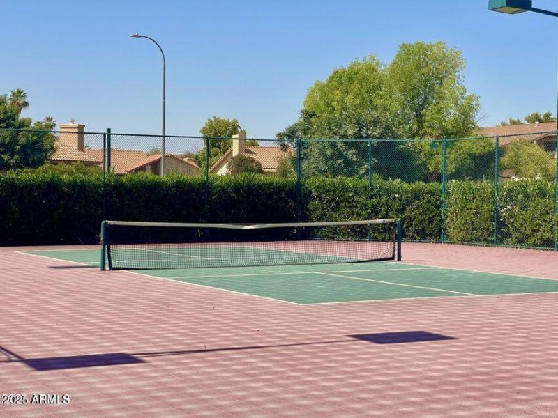 Pickleball Court